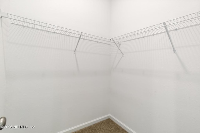 walk in closet with carpet flooring