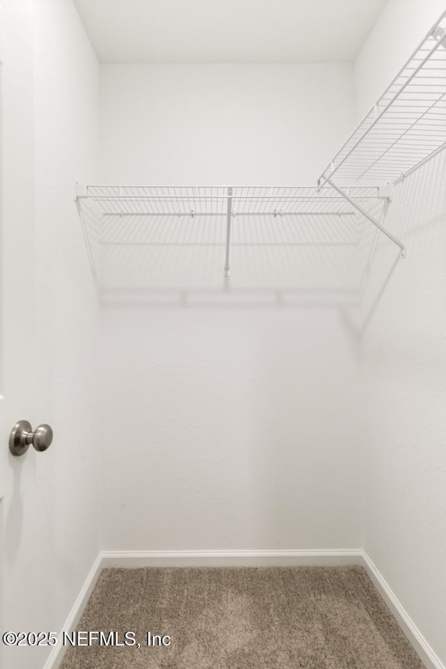 spacious closet with carpet
