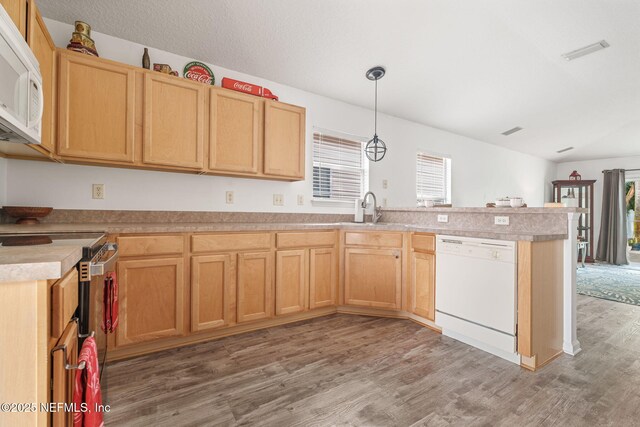 kitchen with plenty of natural light, a peninsula, white appliances, and light wood-type flooring