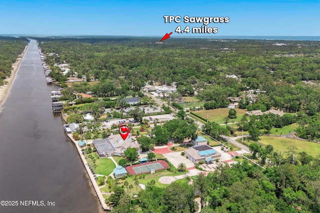 drone / aerial view of a forest and a large body of water