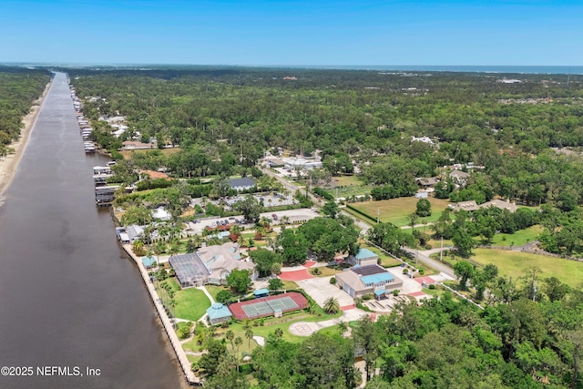 bird's eye view of a large body of water and a forest