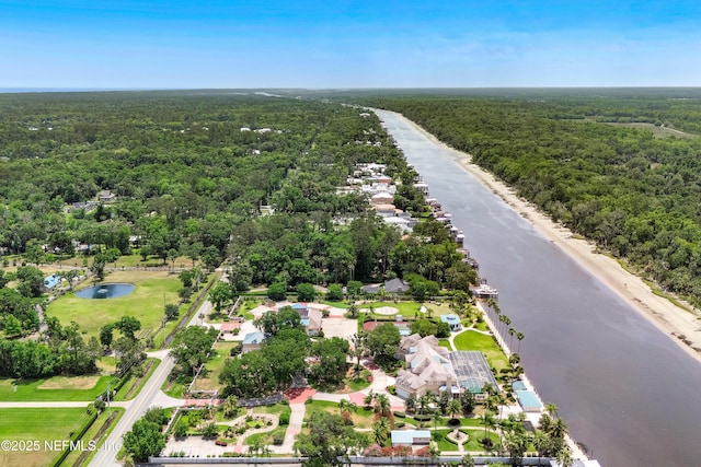 aerial view of a forest and a large body of water