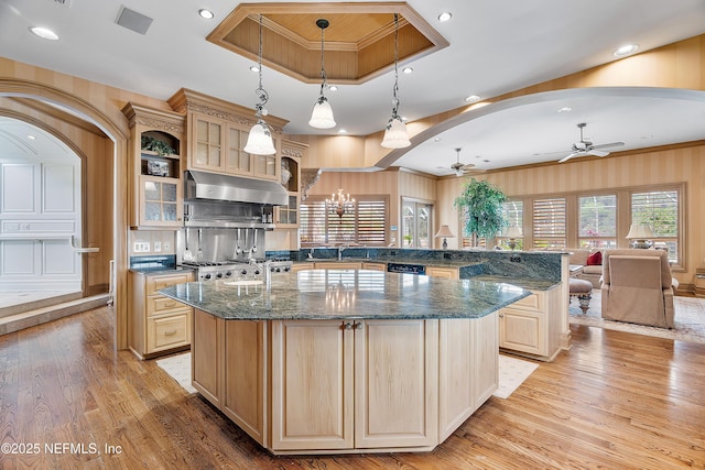 kitchen featuring a ceiling fan, under cabinet range hood, a sink, light wood finished floors, and crown molding