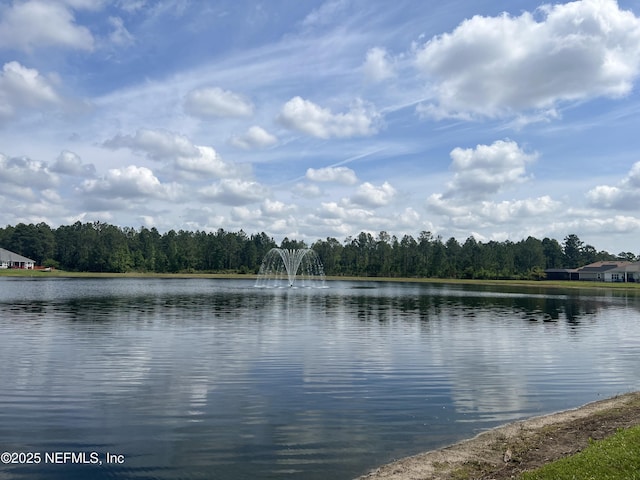 1697 Linda Lakes Ln, Middleburg, FL 32068 - photo 37