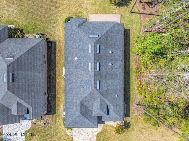 bird's eye view