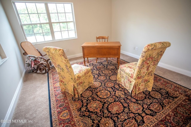 office space featuring carpet floors and baseboards