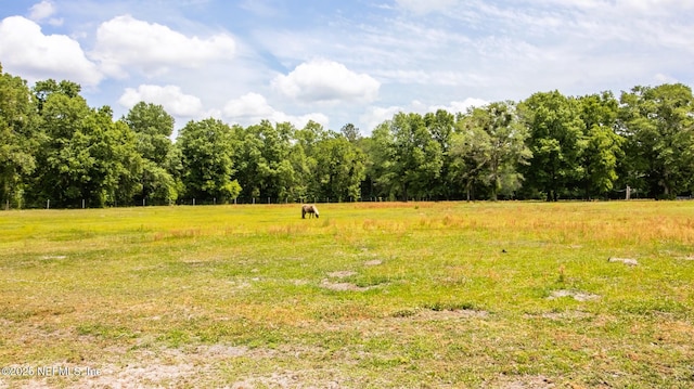 view of local wilderness featuring a rural view