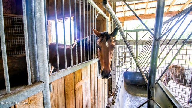view of horse barn