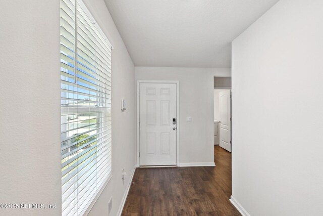 15724 Equine Gait Dr, Jacksonville, FL 32234 - photo 5