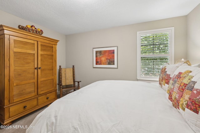 bedroom featuring a textured ceiling