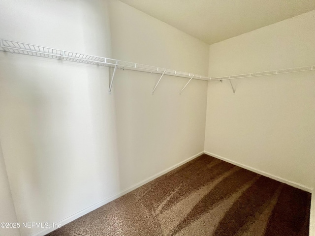 750 Panther Lk, Jacksonville, FL 32221 - photo 2