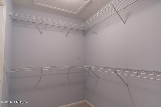 view of spacious closet
