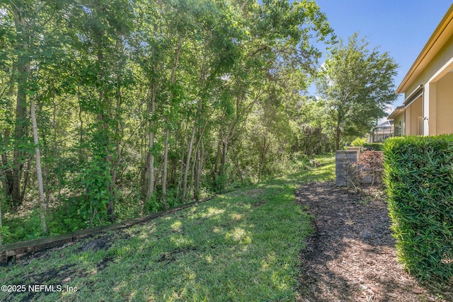 3157 Parador Way, Jacksonville, FL 32246 - photo 41