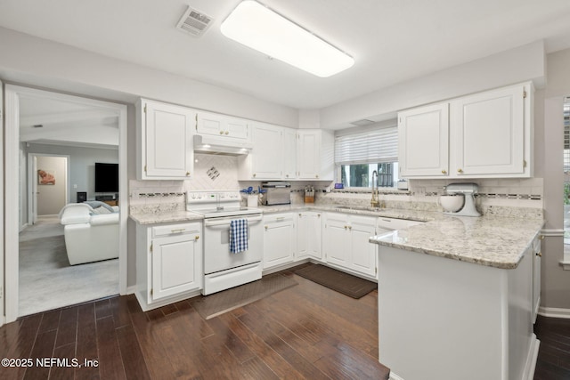 kitchen featuring a peninsula, white electric range oven, under cabinet range hood, a sink, and backsplash