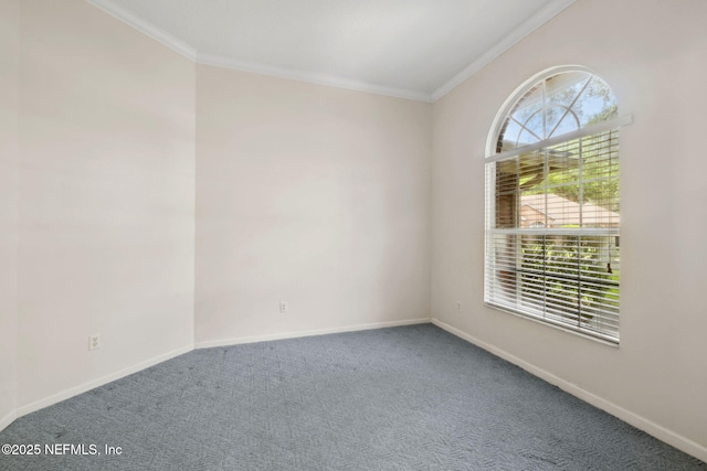 328 Lolly Ln, Saint Johns, FL 32259 - photo 6