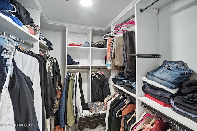 view of walk in closet