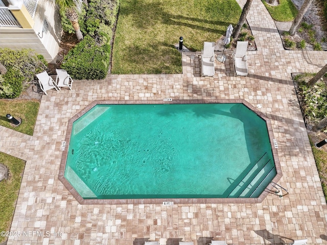 view of pool with a patio area