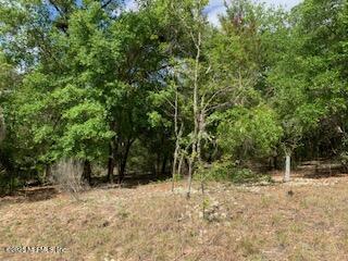 117 Central Ave, Interlachen, FL 32148 - photo 3
