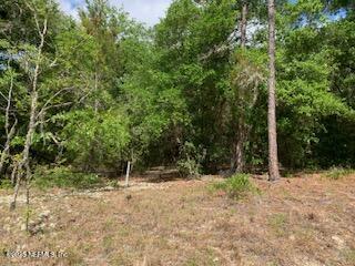 117 Central Ave, Interlachen, FL 32148 - photo 4