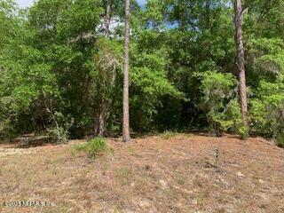 117 Central Ave, Interlachen, FL 32148 - photo 5