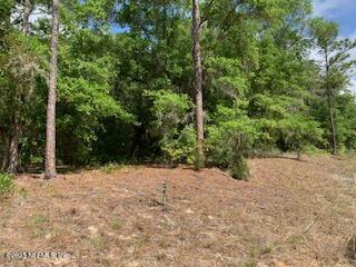117 Central Ave, Interlachen, FL 32148 - photo 6