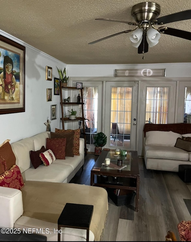 6655 Bell Tower Ct Unit 1, Jacksonville, FL 32217 - living area with ceiling fan, a textured ceiling, crown molding, wood finished floors, and a wealth of natural light