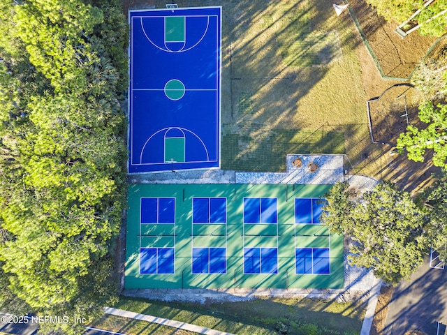 bird's eye view