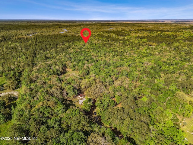 17263 Black Cow Trl, Jacksonville, FL 32218 - photo 3
