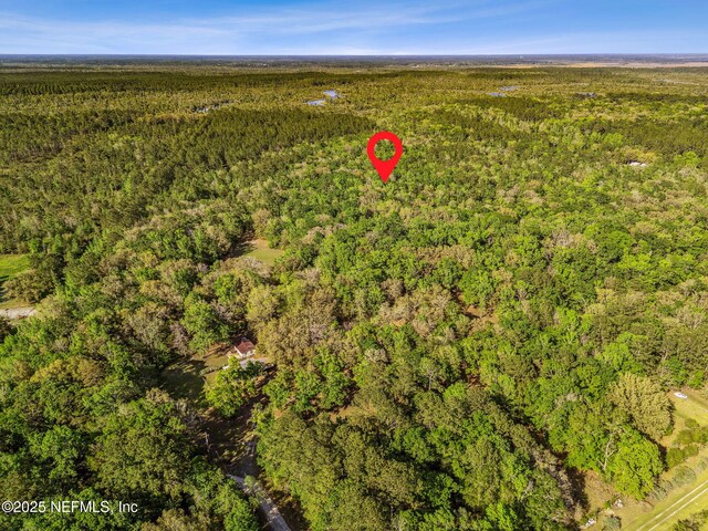 17263 Black Cow Trl, Jacksonville, FL 32218 - photo 5