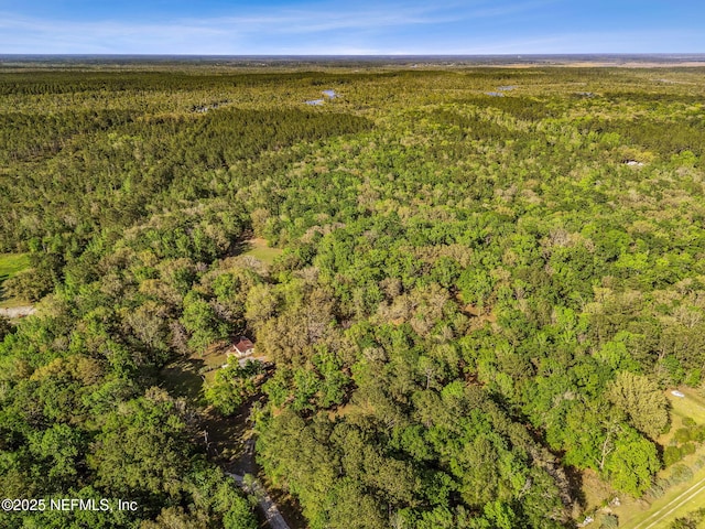 17263 Black Cow Trl, Jacksonville, FL 32218 - photo 6