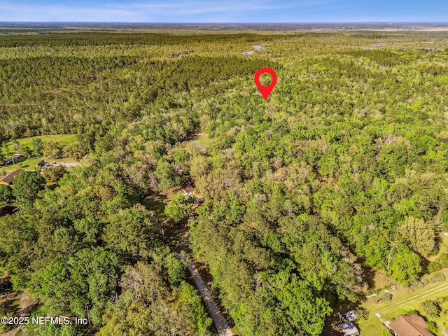 17263 Black Cow Trl, Jacksonville, FL 32218 - photo 7