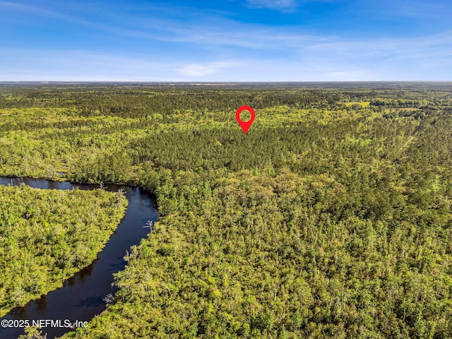 17263 Black Cow Trl, Jacksonville, FL 32218 - photo 17