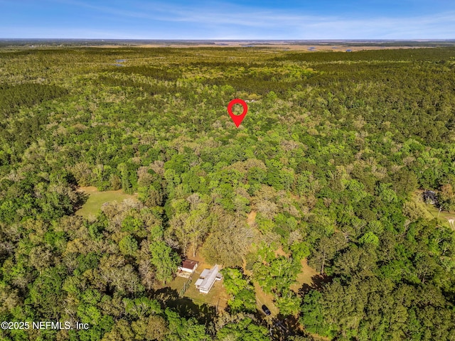 17263 Black Cow Trl, Jacksonville, FL 32218 - photo 20