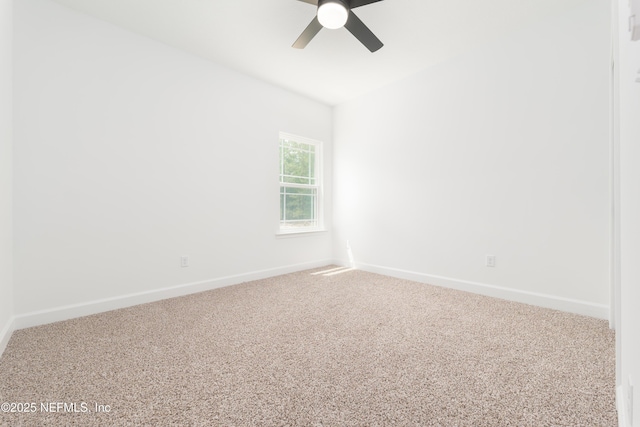 5817 Silver Sands Cir, Keystone Heights, FL 32656 - photo 19