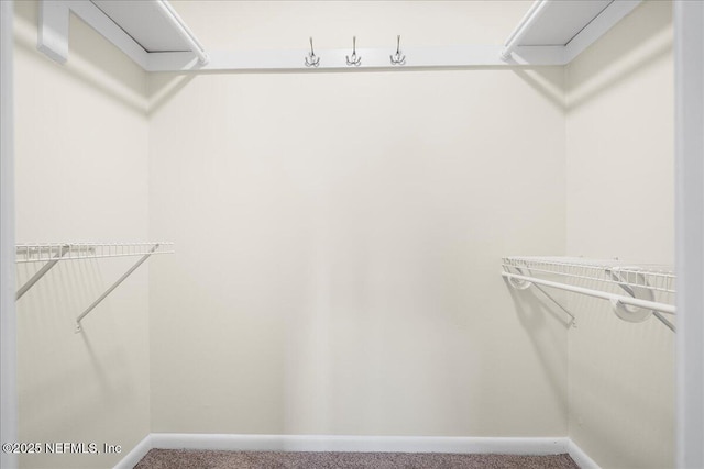 4201 San Pablo Rd S, Jacksonville, FL 32224 - spacious closet with carpet flooring