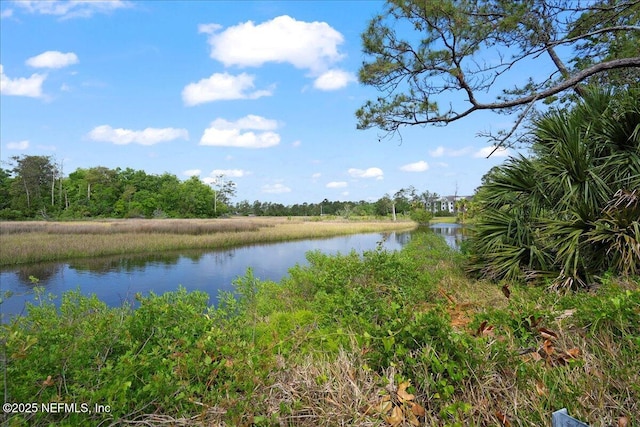 4201 San Pablo Rd S, Jacksonville, FL 32224 - property view of water