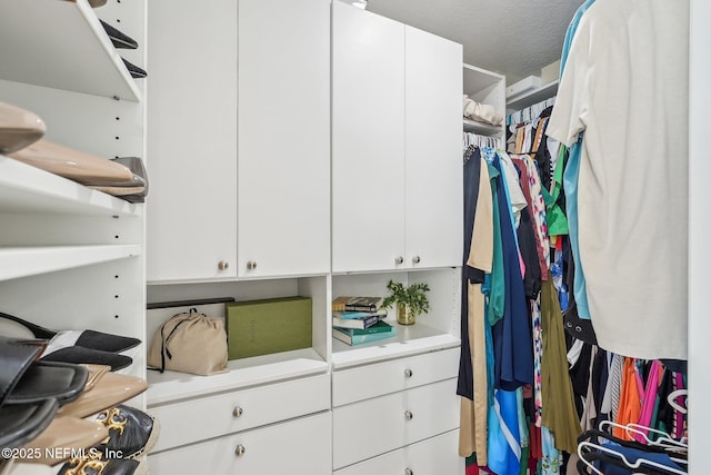 116 Lost Beach Ln, Ponte Vedra Beach, FL 32082 - view of walk in closet