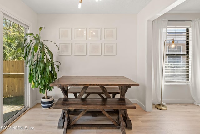 1625 Panther Ridge Ct, Jacksonville, FL 32225 - dining area with baseboards and light wood-type flooring