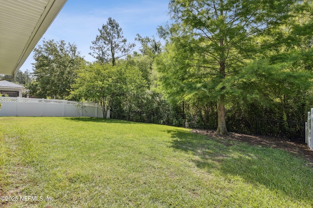 124 Sarah Elizabeth Dr, Saint Johns, FL 32259 - view of yard with a fenced backyard