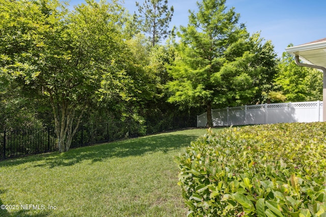 124 Sarah Elizabeth Dr, Saint Johns, FL 32259 - view of yard with a fenced backyard