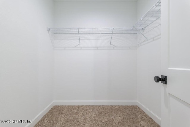 spacious closet with light carpet