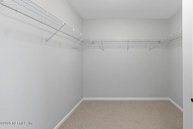 spacious closet with carpet