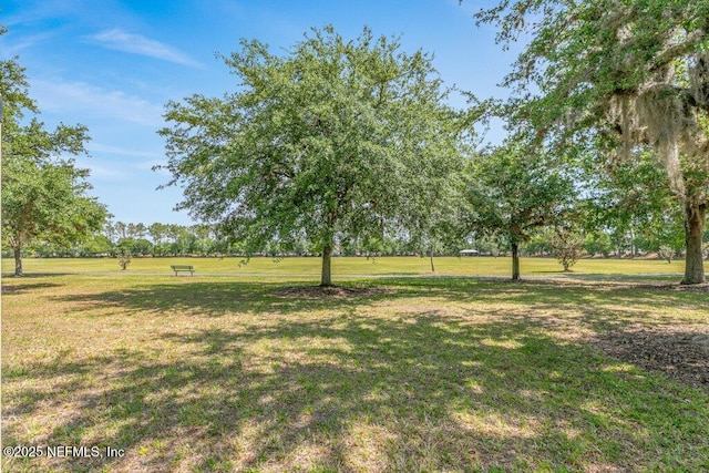 view of grassy yard
