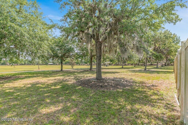 view of grassy yard