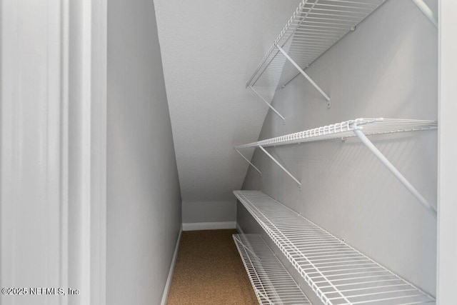 walk in closet with carpet floors