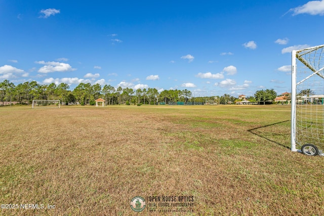 view of yard featuring an area for soccer