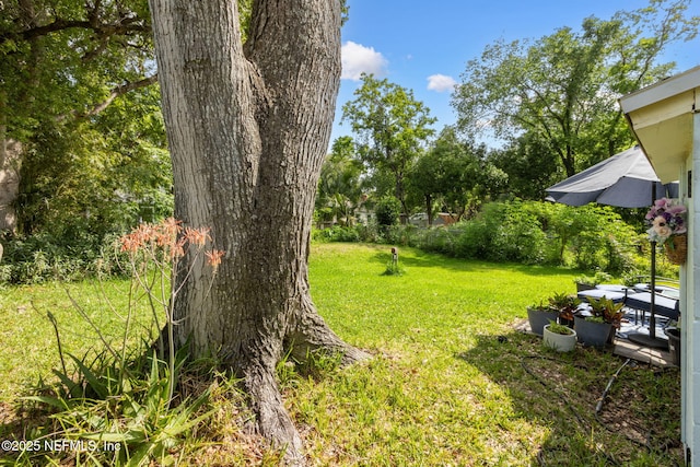 view of yard