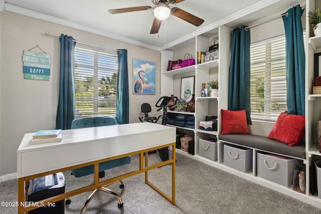 carpeted office with a healthy amount of sunlight, a ceiling fan, and ornamental molding