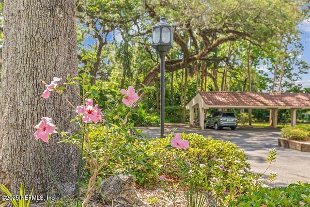 view of home's community with driveway and a carport
