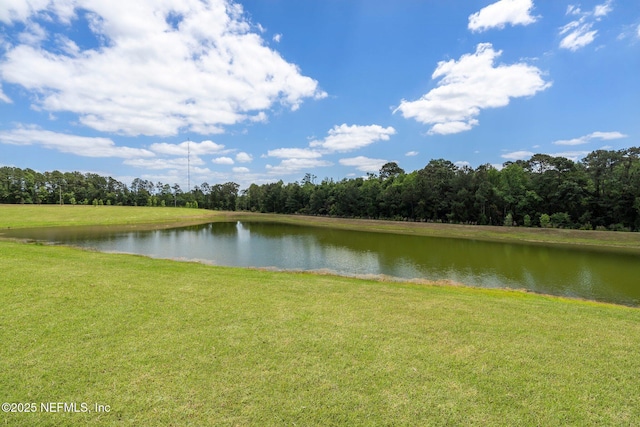 4402 Warm Springs Way, Middleburg, FL 32068 - water view featuring a heavily wooded area